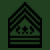 Command Sergeant Major