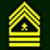 Sergeant Major